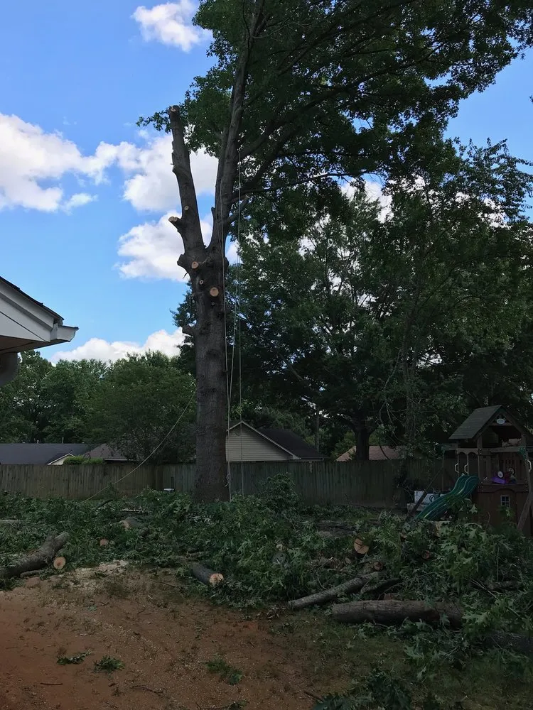 Professional landscaping services with custom design across Mayflower, AR - Father and sons reliable tree service