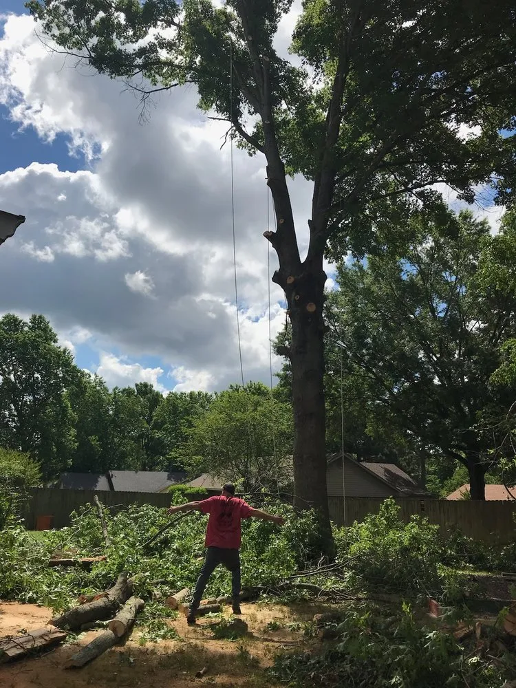 Professional garden landscaping in Mayflower, AR - Father and sons reliable tree service