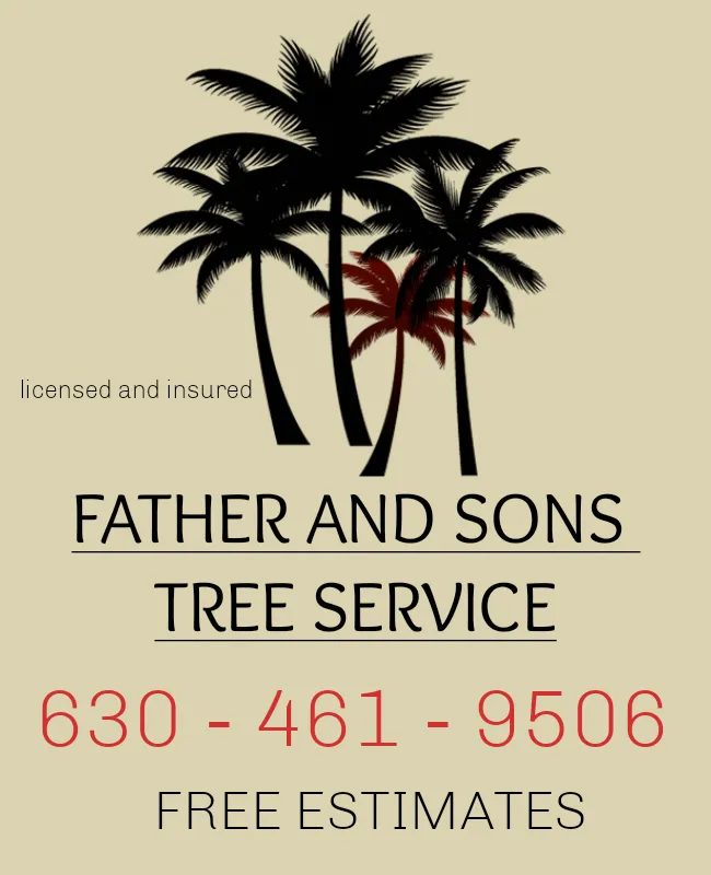 Top-rated lawn mowing service experts serving Hudson, FL - Father and Sons Tree Service