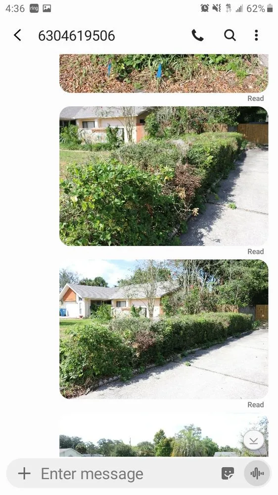 Top-rated landscape design for homes across Hudson, FL - Father and Sons Tree Service