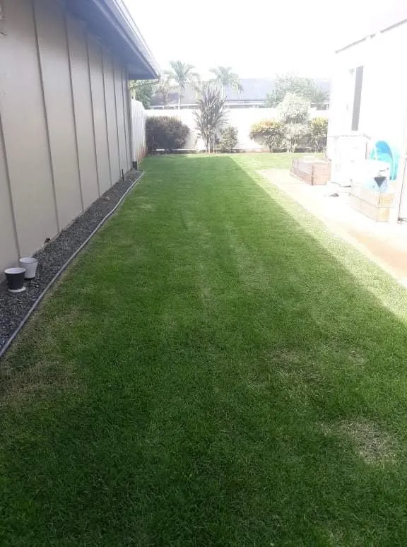 Local landscape installation in Waipahu, HI - Father N Son Landscaping Services