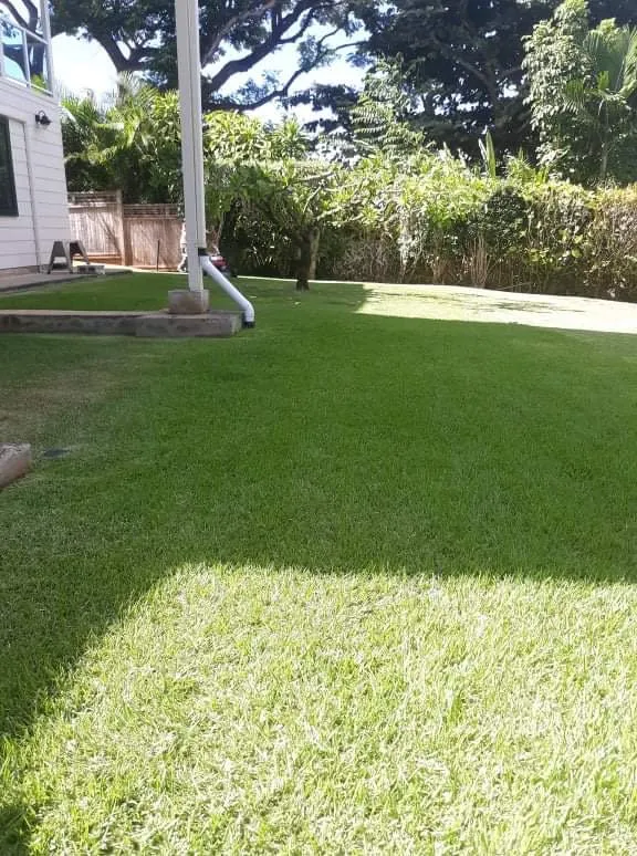 Reliable landscape design in Waipahu, HI - Father N Son Landscaping Services