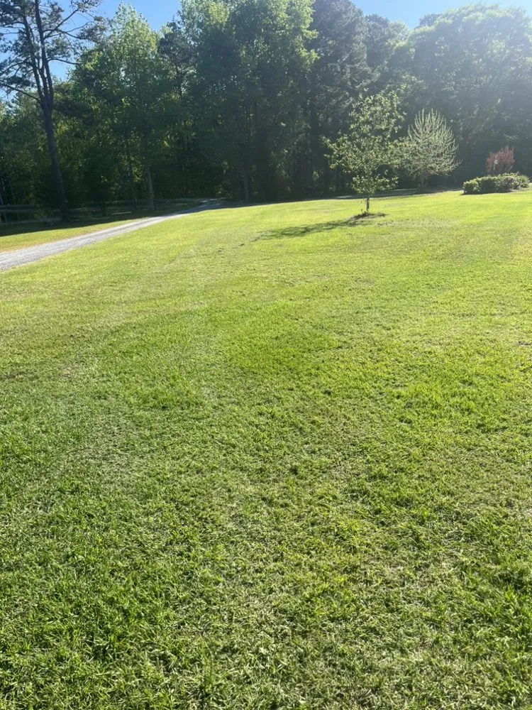 Top-rated garden landscaping experts serving Hamlet, NC - Father N Son Lawn Care