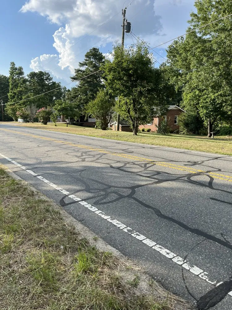 Local yard cleanup service for outdoor upgrades across Hamlet, NC - Father N Son Lawn Care