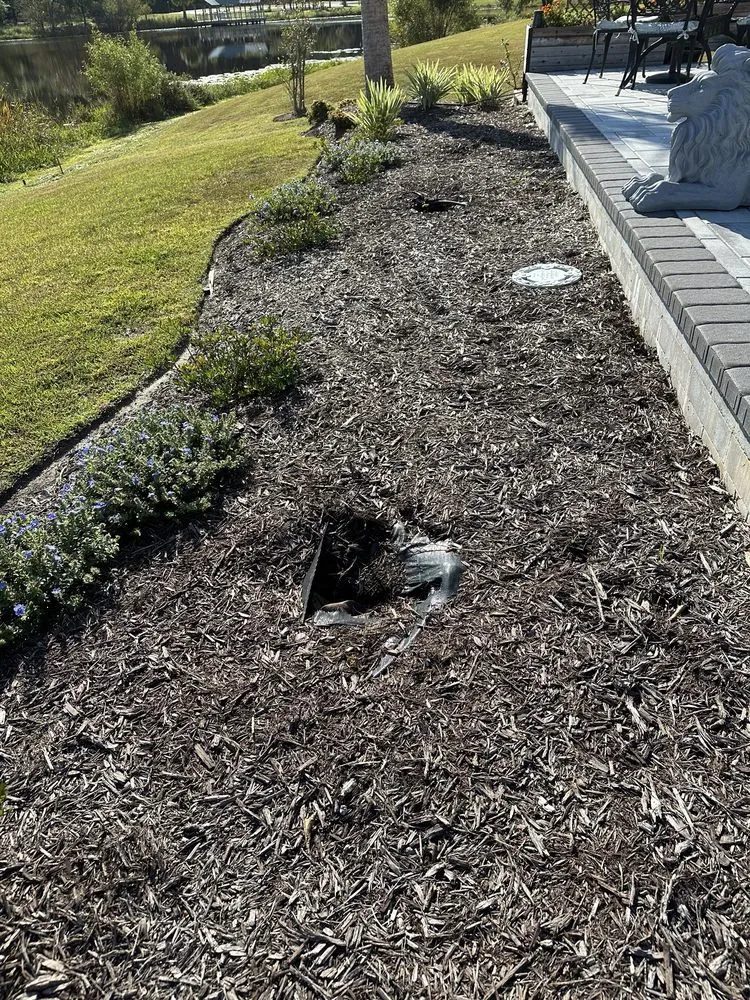 Trusted landscape installation in Bluffton, SC - Father Nature