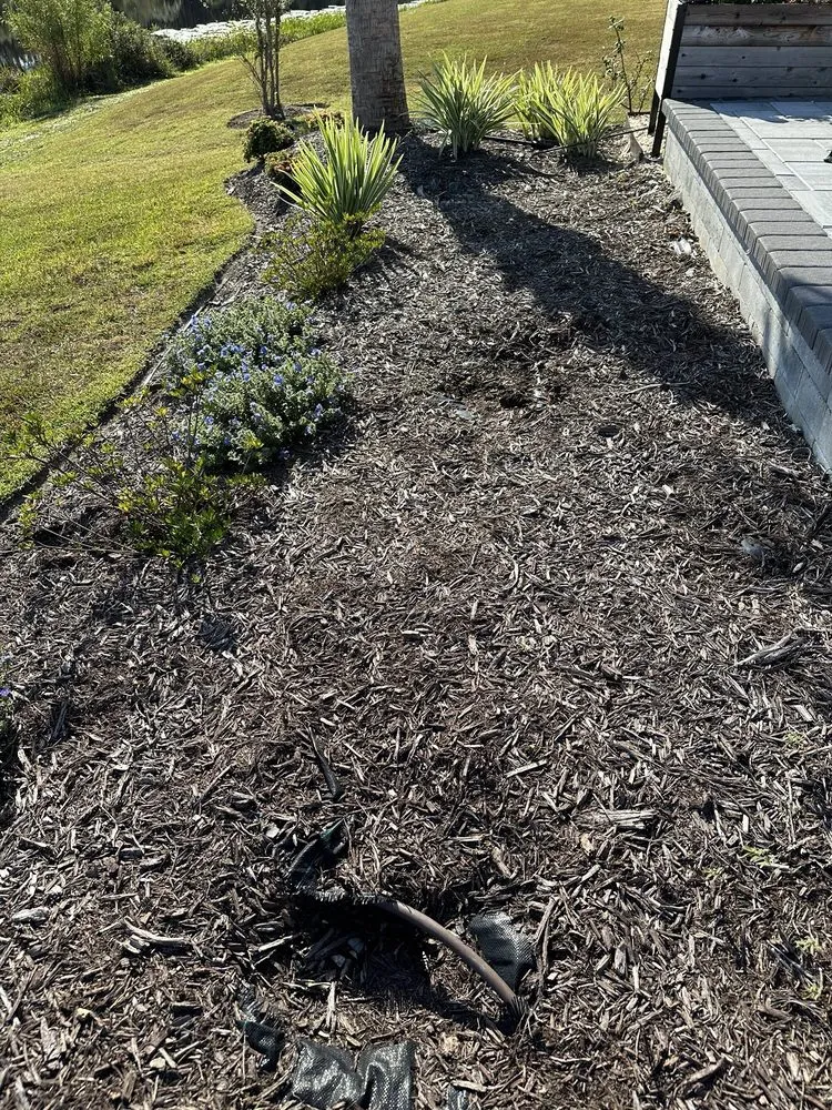 Expert yard maintenance in Bluffton, SC - Father Nature