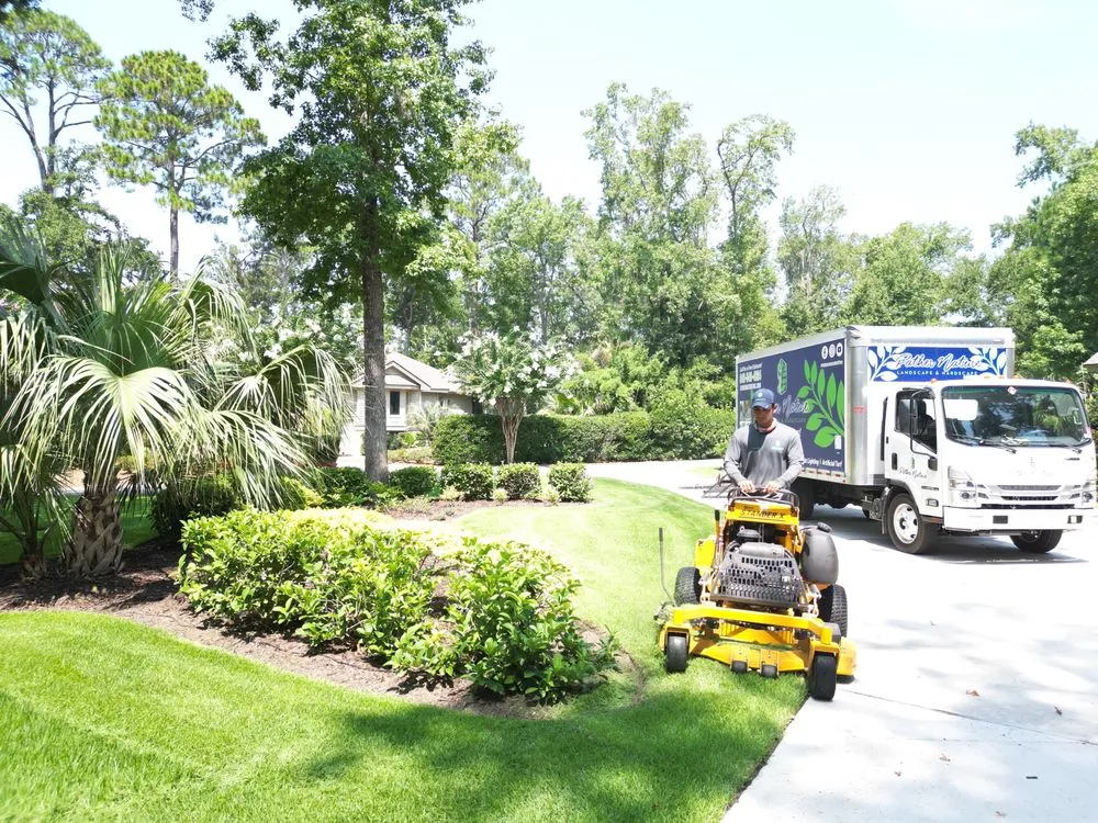 Expert landscape design in Bluffton, SC by Father Nature