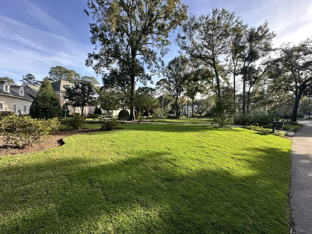 Affordable outdoor landscaping in Bluffton, SC - Father Nature