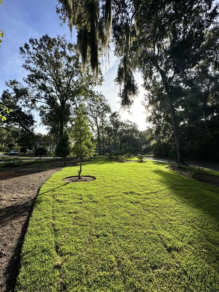 Top-rated landscape installation in Bluffton, SC by Father Nature
