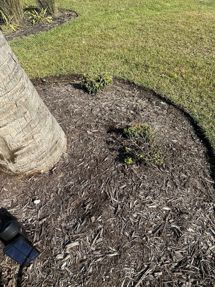 Affordable landscaping services for beautiful yards in Bluffton, SC by Father Nature