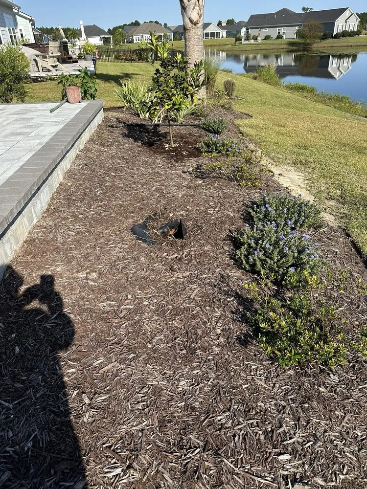 Professional lawn mowing service for beautiful yards across Bluffton, SC - Father Nature