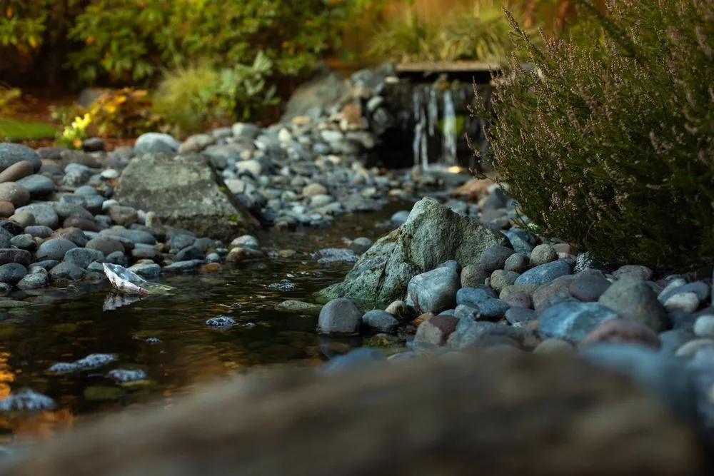 Professional yard cleanup service for homes across Tacoma, WA - Father Nature Landscapes of Tacoma