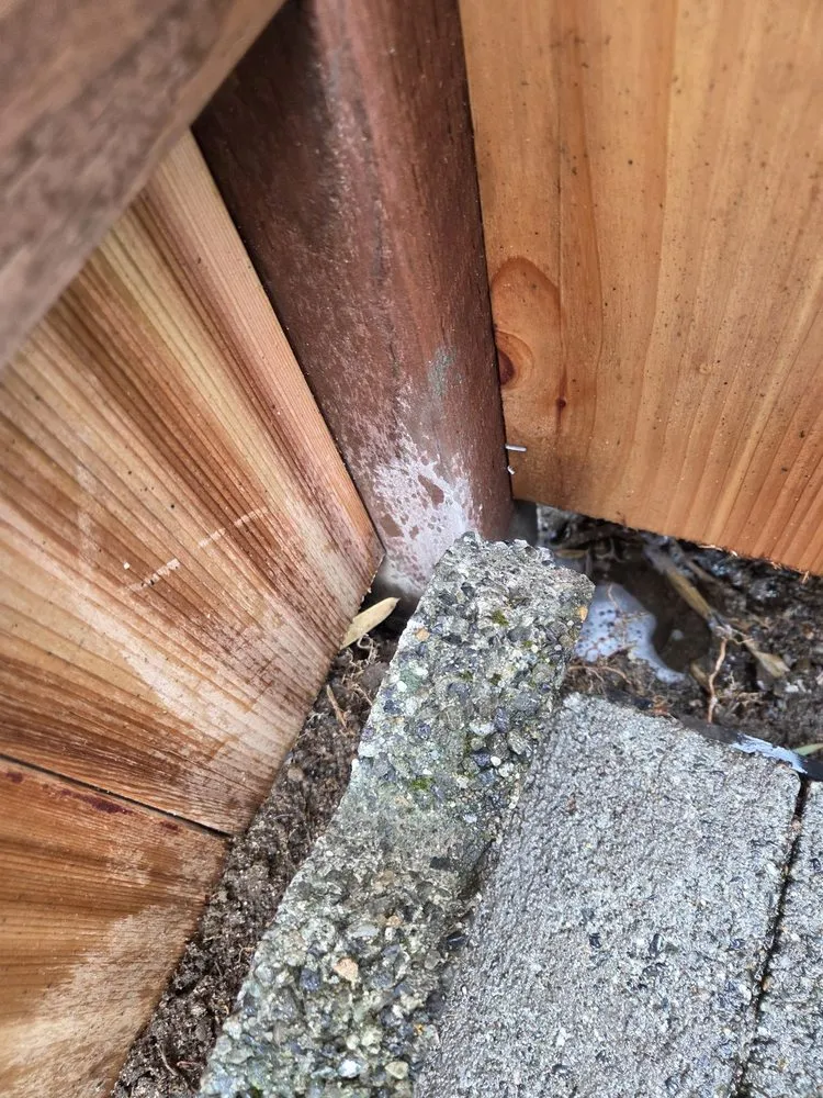 Trusted lawn care service for year-round maintenance in Tacoma, WA by Father Nature Landscapes of Tacoma