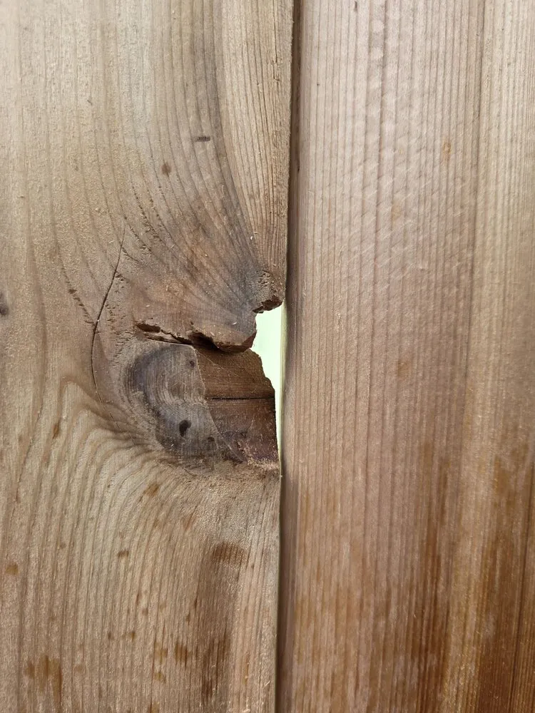 Reliable garden landscaping for year-round maintenance in Tacoma, WA by Father Nature Landscapes of Tacoma