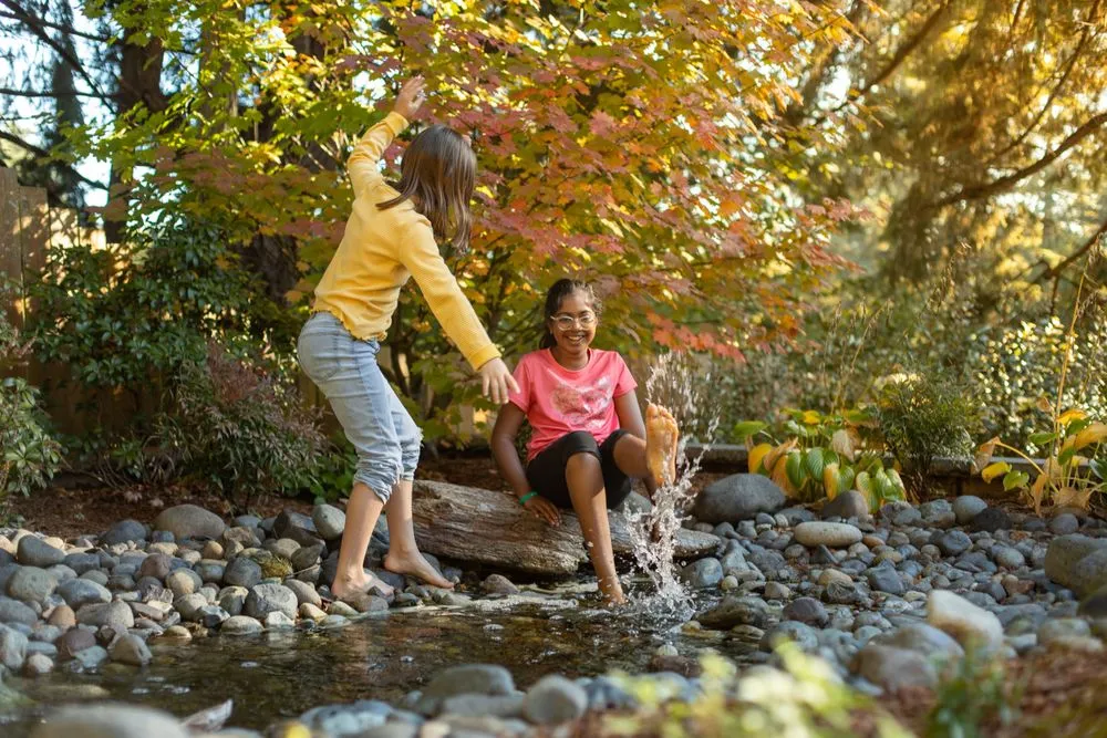 Expert yard maintenance for residential properties across Tacoma, WA - Father Nature Landscapes of Tacoma