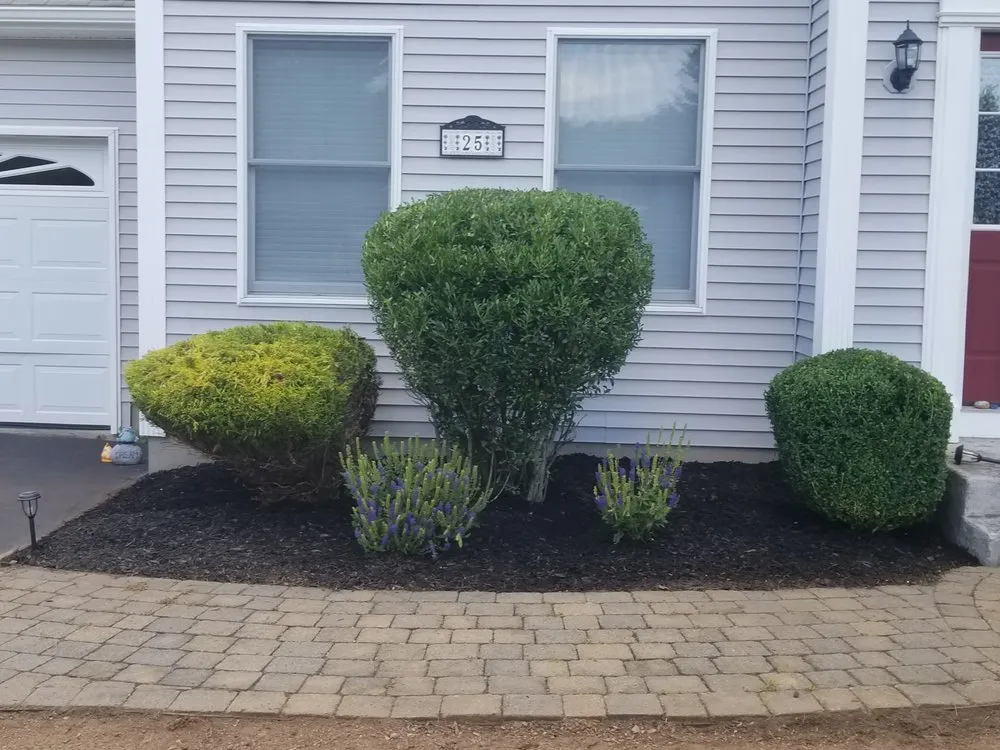 Local landscaping services in Enfield, CT - Father Nature Landscaping