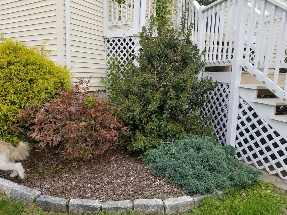 Affordable landscape installation in Enfield, CT - Father Nature Landscaping