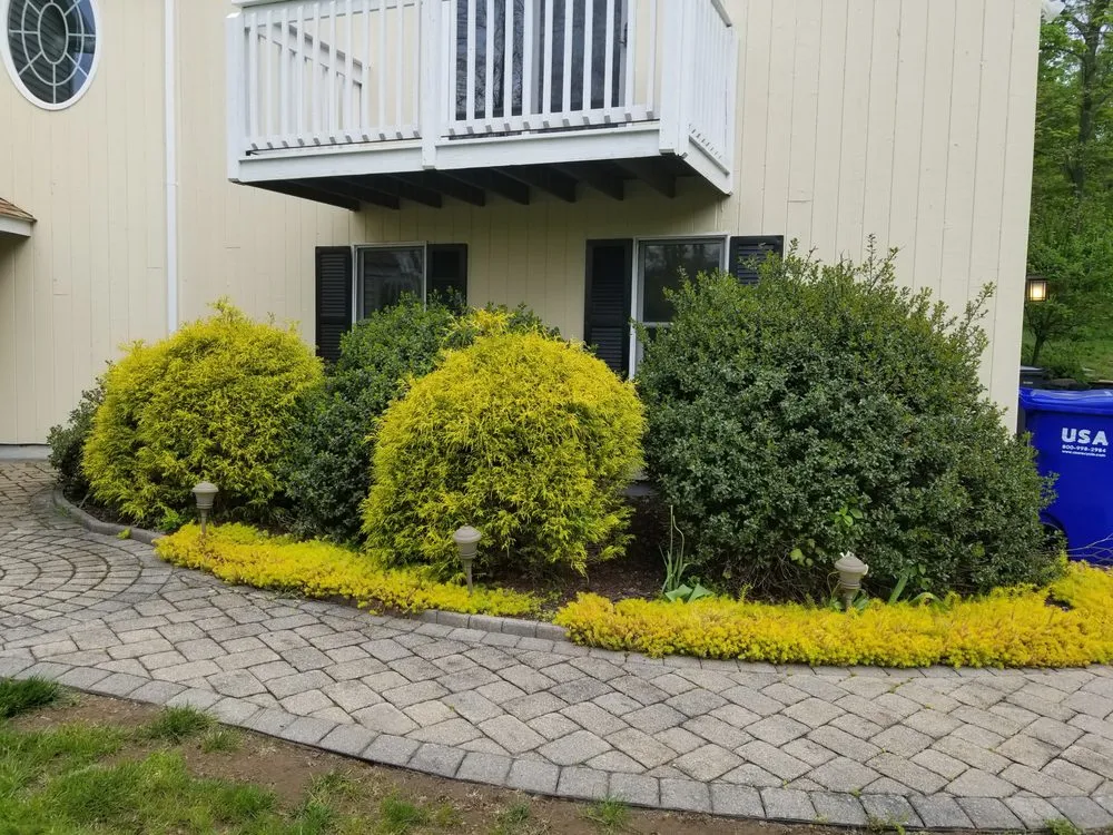 Affordable yard cleanup service experts serving Enfield, CT - Father Nature Landscaping