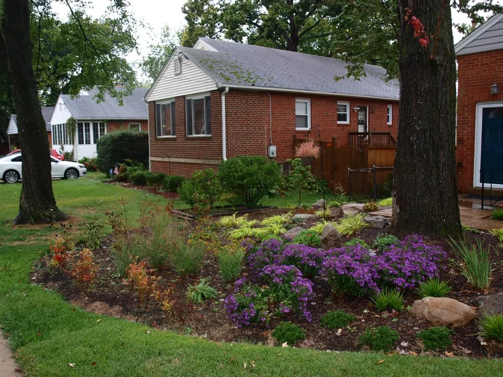 Reliable garden landscaping in Wheaton, MD by Father Nature Restorative Landscaping