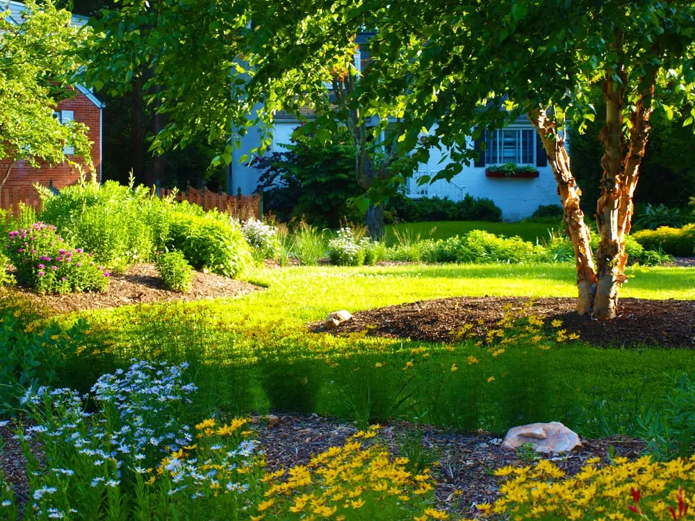 Expert landscape installation in Wheaton, MD by Father Nature Restorative Landscaping