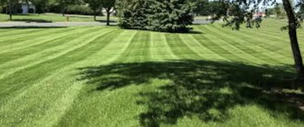 Top-rated lawn care service for beautiful yards in Youngstown, OH by Fathers Lawn & More