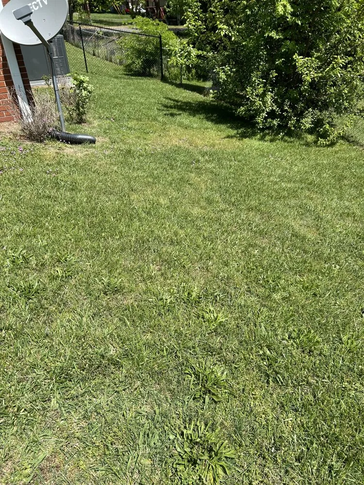 Trusted landscape design in Winston-Salem, NC by Father&Sons Lawn Mower