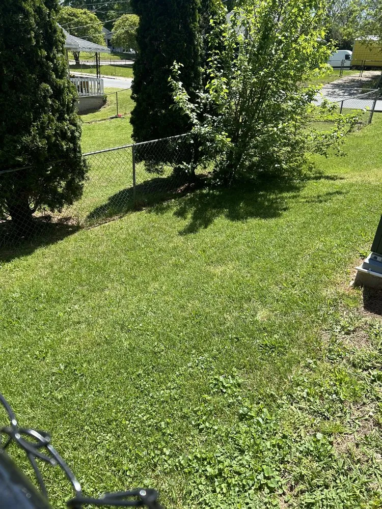 Expert yard cleanup service in Winston-Salem, NC - Father&Sons Lawn Mower