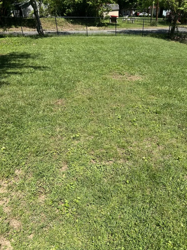 Professional landscaping services with custom design across Winston-Salem, NC - Father&Sons Lawn Mower