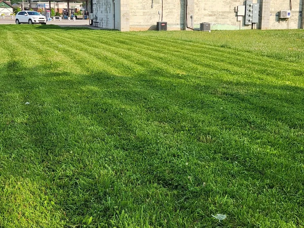 Trusted yard maintenance in Evansville, IN - Faughn Lawn Care