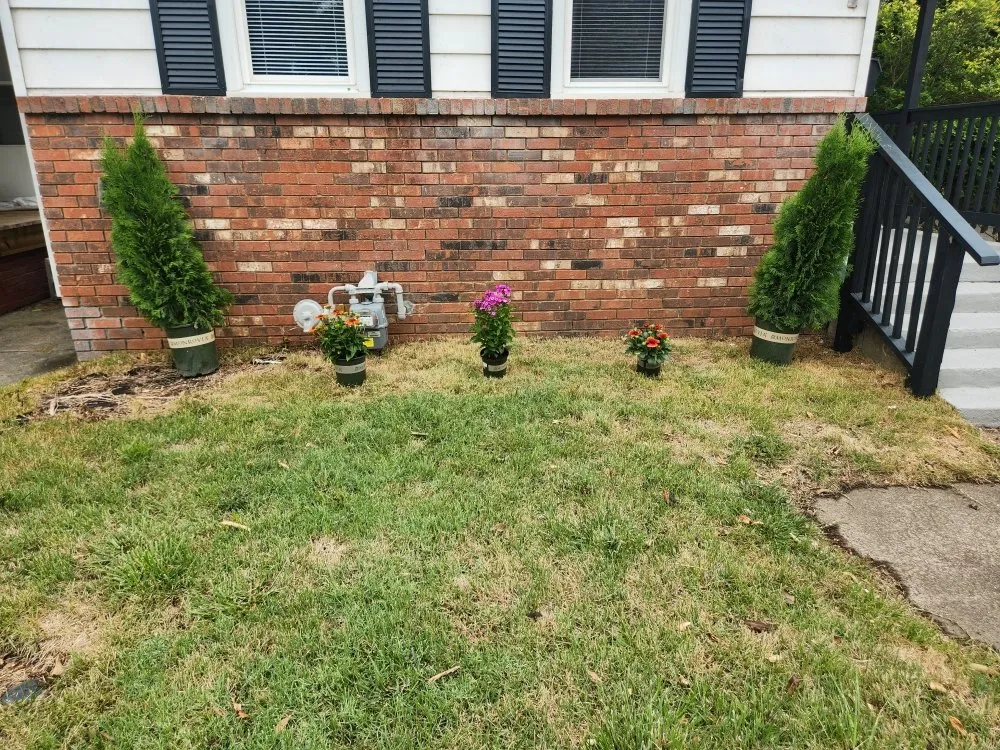 Expert lawn mowing service for homes across Evansville, IN - Faughn Lawn Care