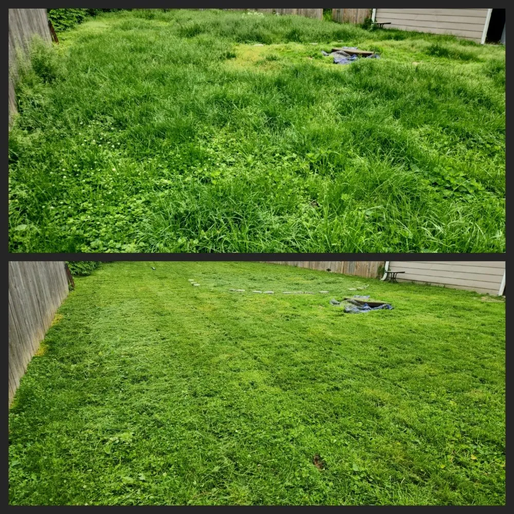 Affordable yard maintenance experts serving Evansville, IN - Faughn Lawn Care