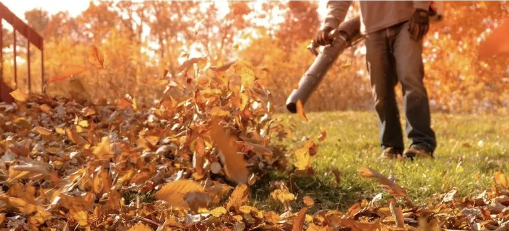 Local yard maintenance experts serving Hattiesburg, MS - Faulk Lawn Care