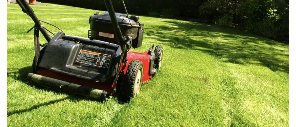 Trusted yard cleanup service in Hattiesburg, MS by Faulk Lawn Care