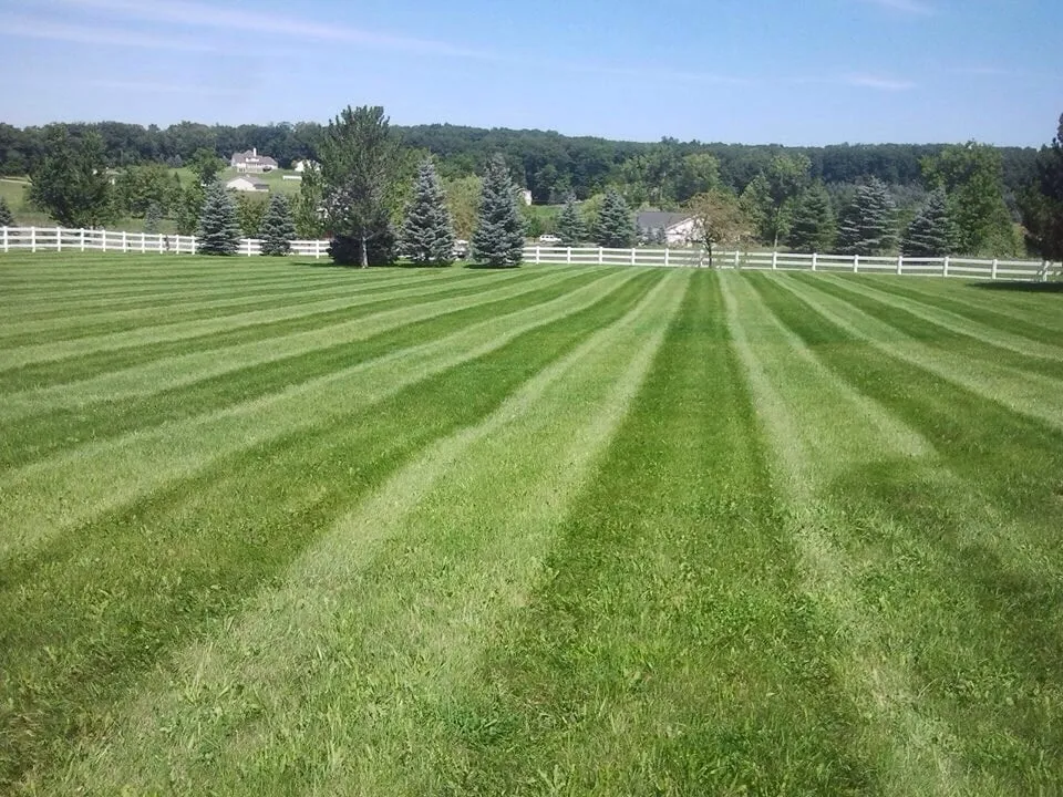 Trusted yard cleanup service experts serving South Lyon, MI - Faulkner Outdoor Services