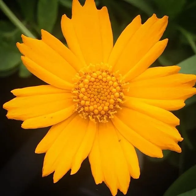 Professional garden landscaping for outdoor upgrades across Hooksett, NH - Faulkner's Nursery