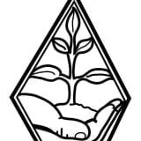 Reliable yard cleanup service experts serving Hooksett, NH - Faulkner's Nursery