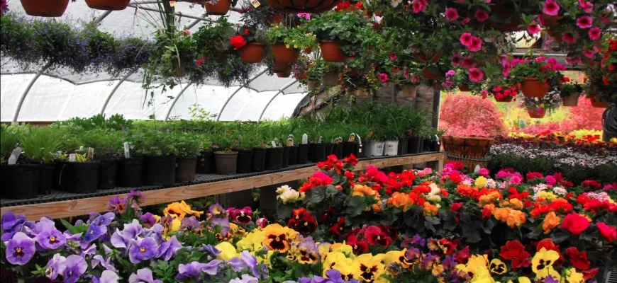 Professional residential landscaping for residential properties across Hooksett, NH - Faulkner's Nursery