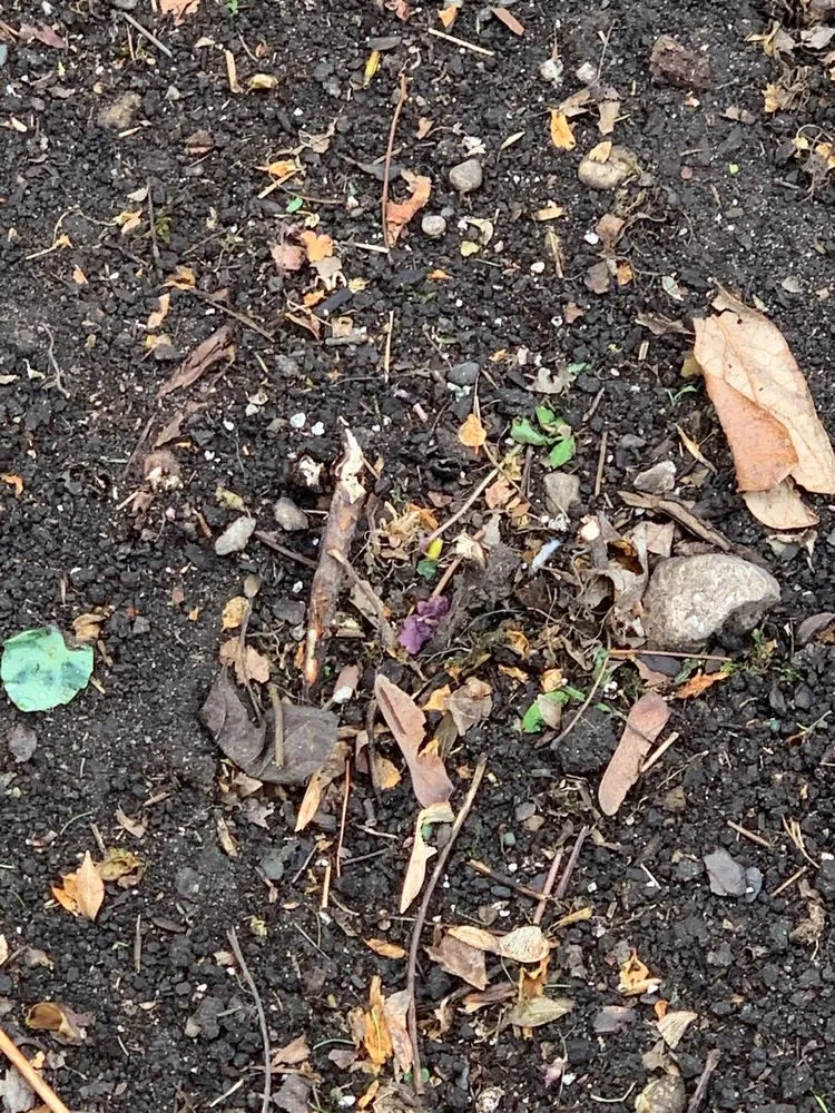 Affordable landscape design with custom design in Vernon Hills, IL by Fauscapes Landscaping & Snow Removal