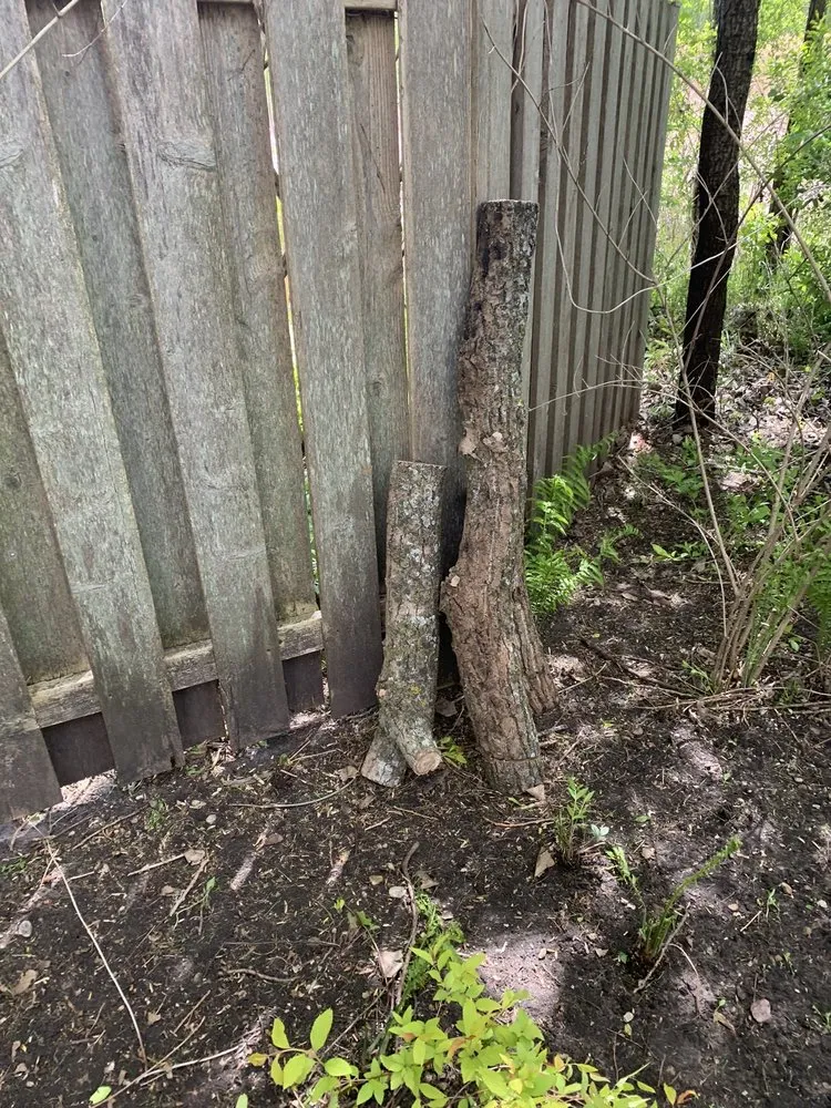 Reliable lawn mowing service with custom design in Vernon Hills, IL by Fauscapes Landscaping & Snow Removal