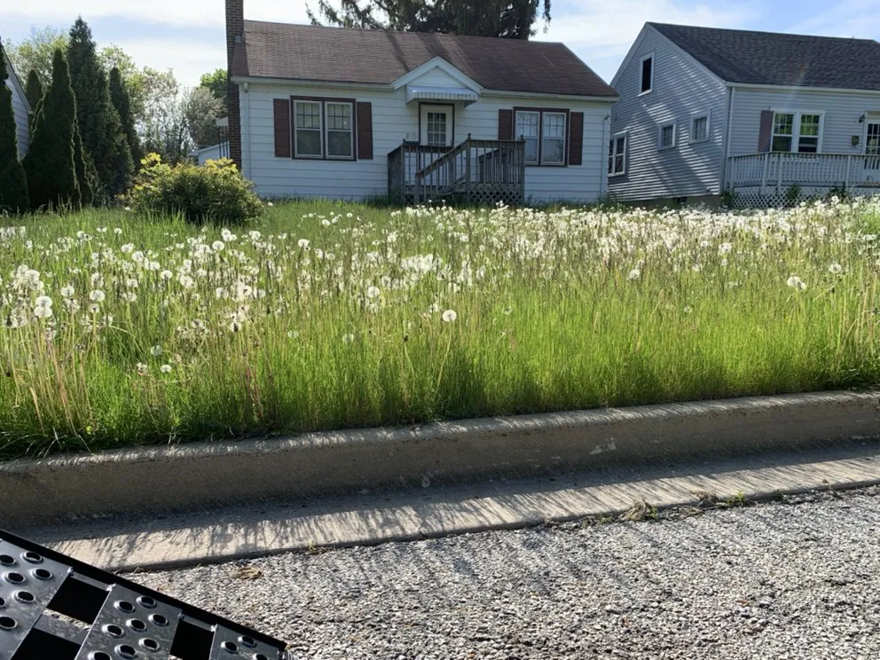 Professional yard maintenance for residential properties in Vernon Hills, IL by Fauscapes Landscaping & Snow Removal