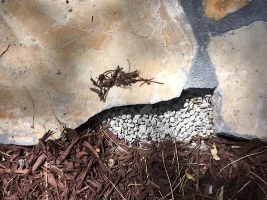 Faustina Construction Logo