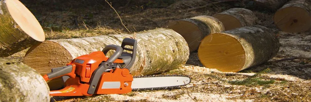 Trusted residential landscaping for beautiful yards across Yucaipa, CA - Faustino Solorio Landscaping