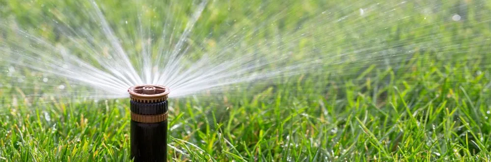 Affordable garden landscaping for beautiful yards across Yucaipa, CA - Faustino Solorio Landscaping