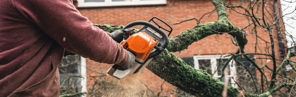 Custom lawn mowing service experts serving Yucaipa, CA - Faustino Solorio Landscaping