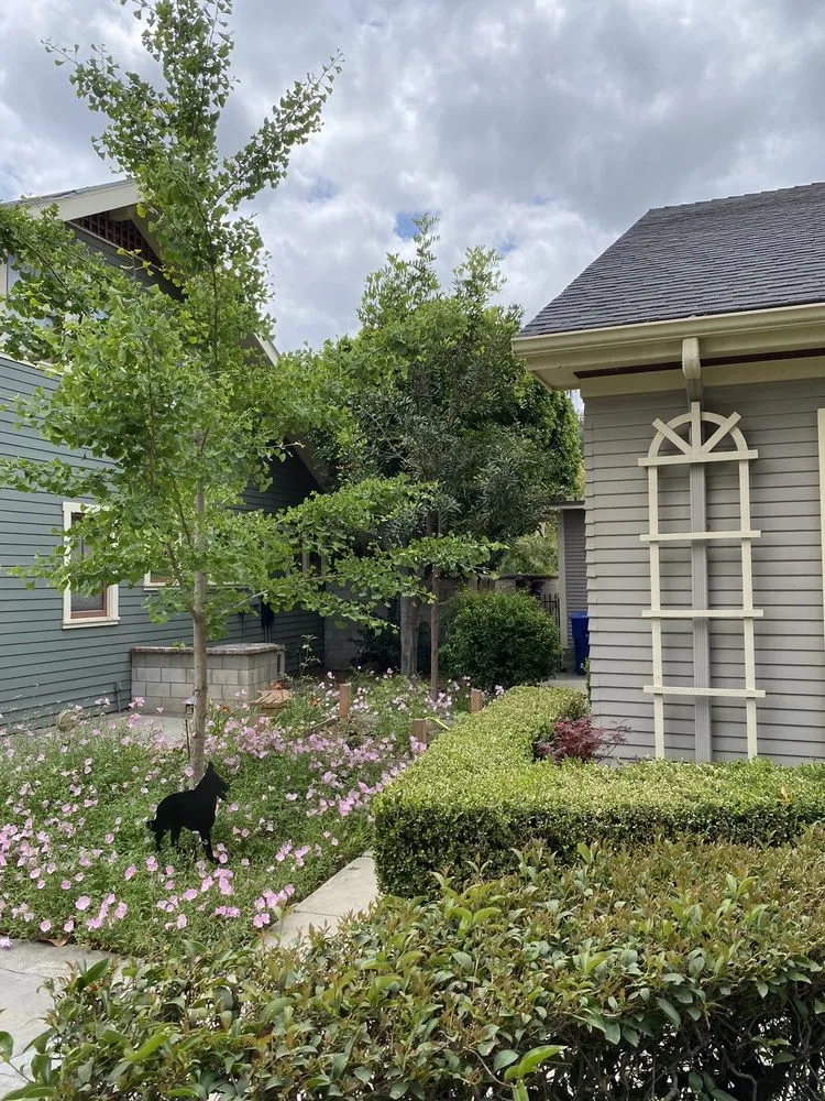 Affordable landscape design experts serving Riverside, CA - Fausto Garcia