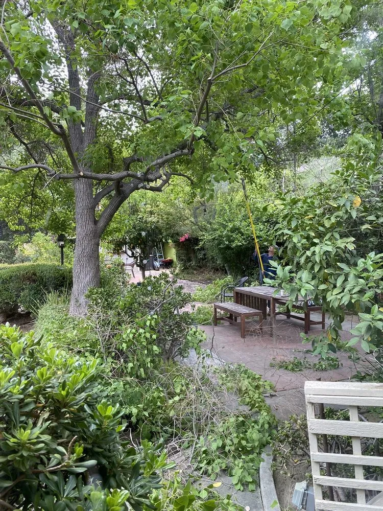 Expert landscape installation for residential properties in Riverside, CA by Fausto Garcia