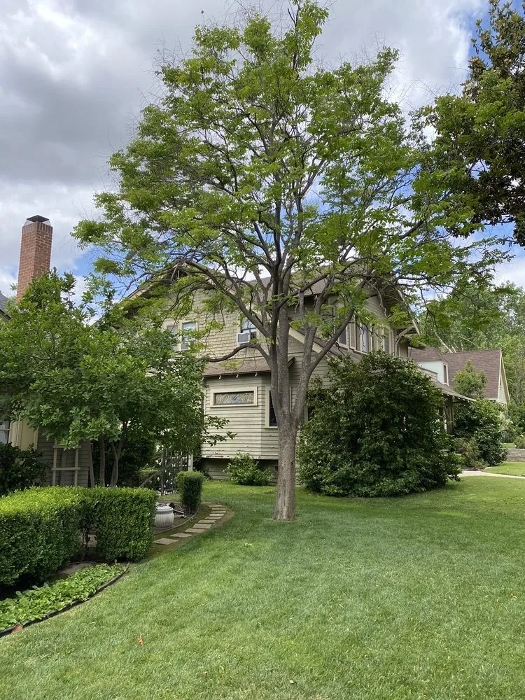 Custom landscape installation in Riverside, CA - Fausto Garcia