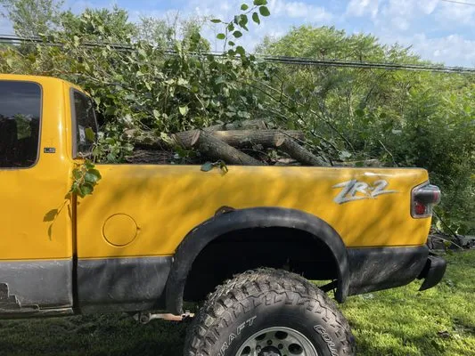 Fauxs Landscaping Logo