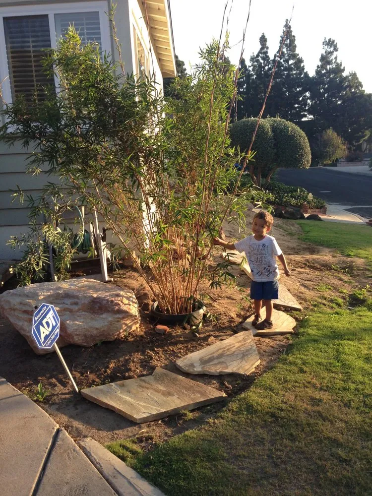 Trusted lawn care service near you across Los Angeles, CA - Favela Masonry & Landscapes