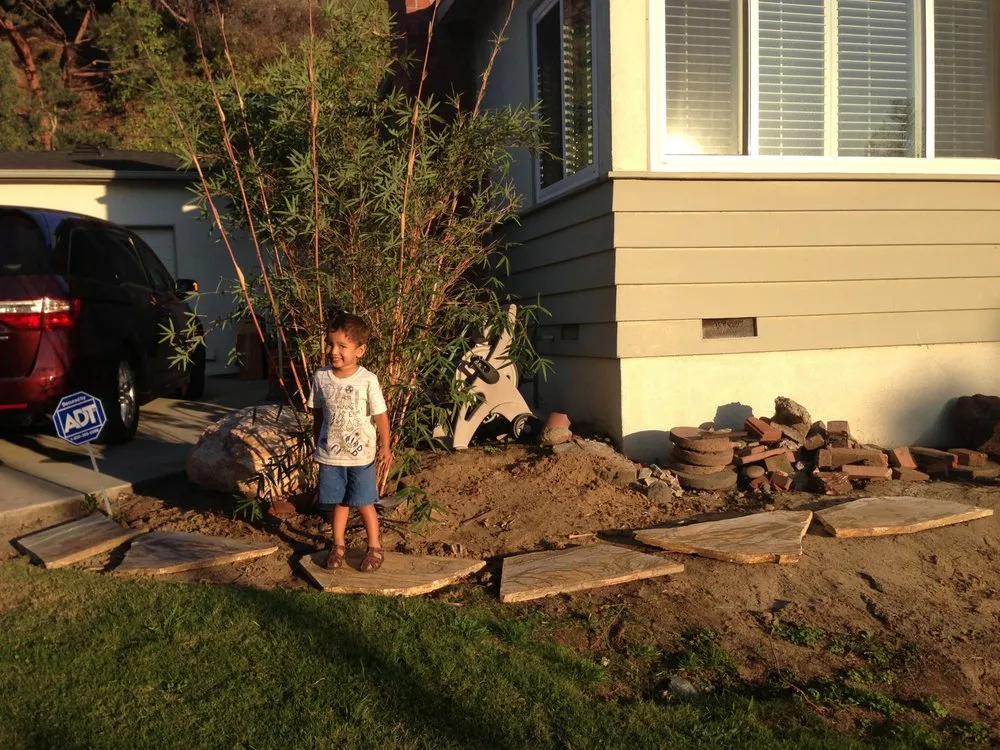 Professional yard maintenance in Los Angeles, CA - Favela Masonry & Landscapes